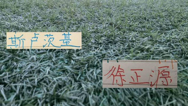 女篮惨遭澳大利亚18分逆转：连续2战失误20+张子宇成唯一亮点