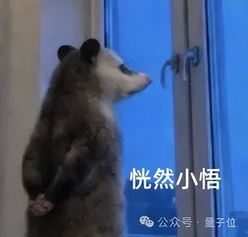 14岁无人看好，25岁比肩梅西，“不内卷”的挪威，养出了世界杯下一代“新王”