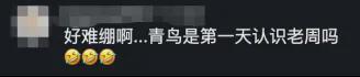 远离“造神”陷阱！贾浅浅被撤职后再曝黑料，撕碎贾平凹最后体面