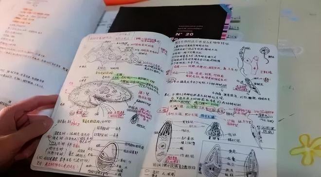 中国有一个怪现象：50岁以后的中年女人，能活到90岁的，基本上在50岁的时候，就不再做这3件事了
